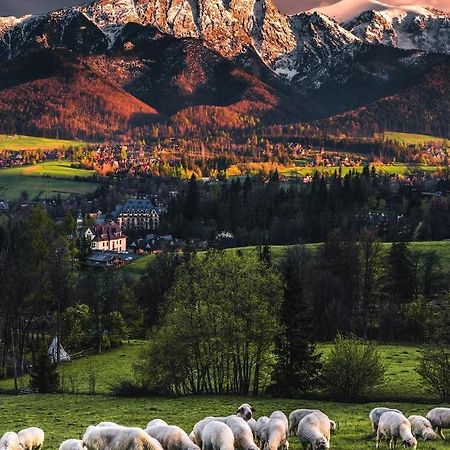 Villa Jumper Widok Na Cale Tatry Lazienka Nie Jest W Pokoju Zakopane Exterior foto