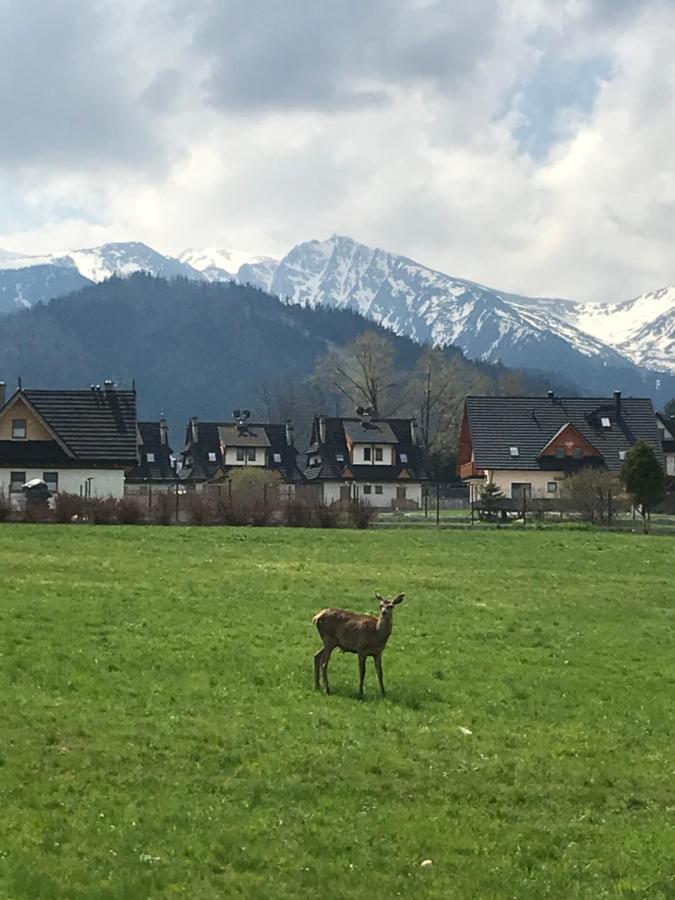 Villa Jumper Widok Na Cale Tatry Lazienka Nie Jest W Pokoju Zakopane Exterior foto
