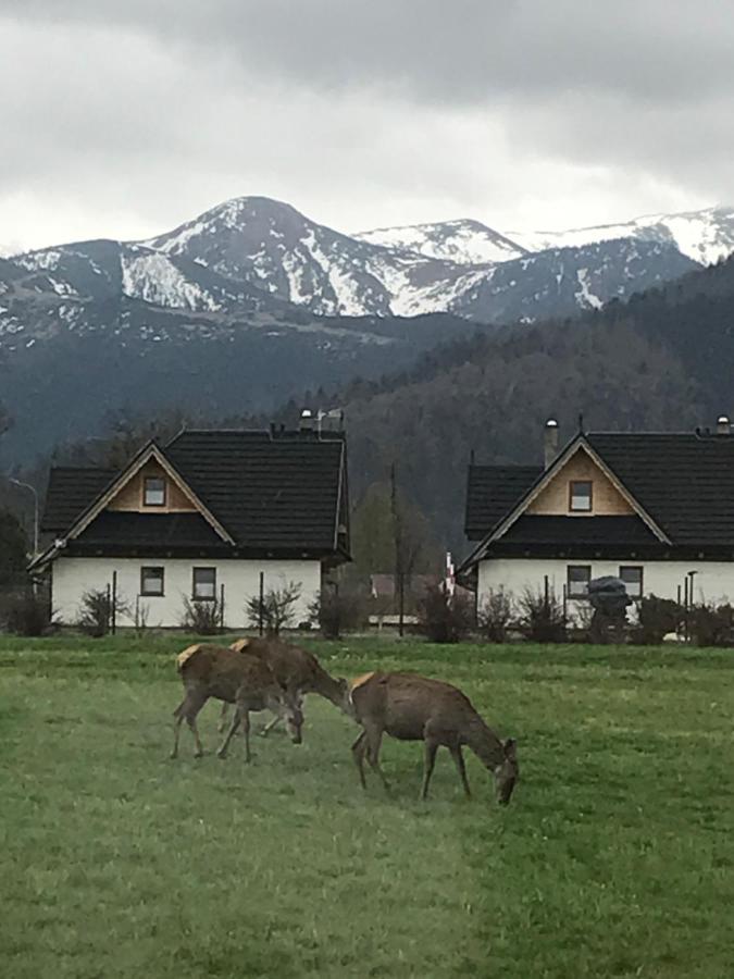 Villa Jumper Widok Na Cale Tatry Lazienka Nie Jest W Pokoju Zakopane Exterior foto