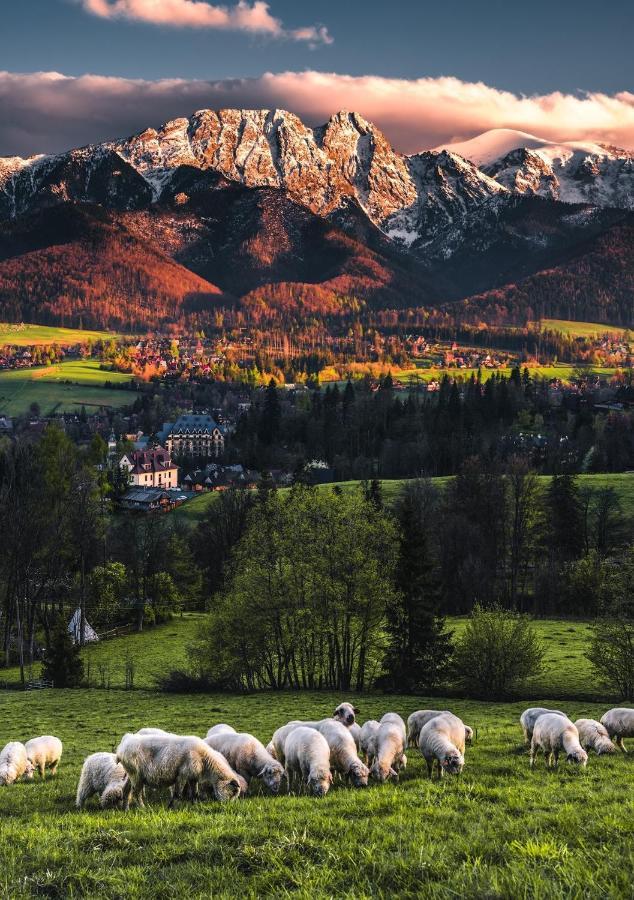 Villa Jumper Widok Na Cale Tatry Lazienka Nie Jest W Pokoju Zakopane Exterior foto